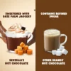 Bevzilla Cinnamon Hot Chocolate Mix - Organic & Sugar-Free