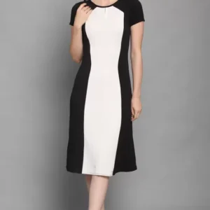 Shopsy Black & White A-line Dress - Elegant & Stretchable
