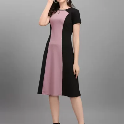Shopsy Fit & Flare A-line Dress - Elegant Purple & Black