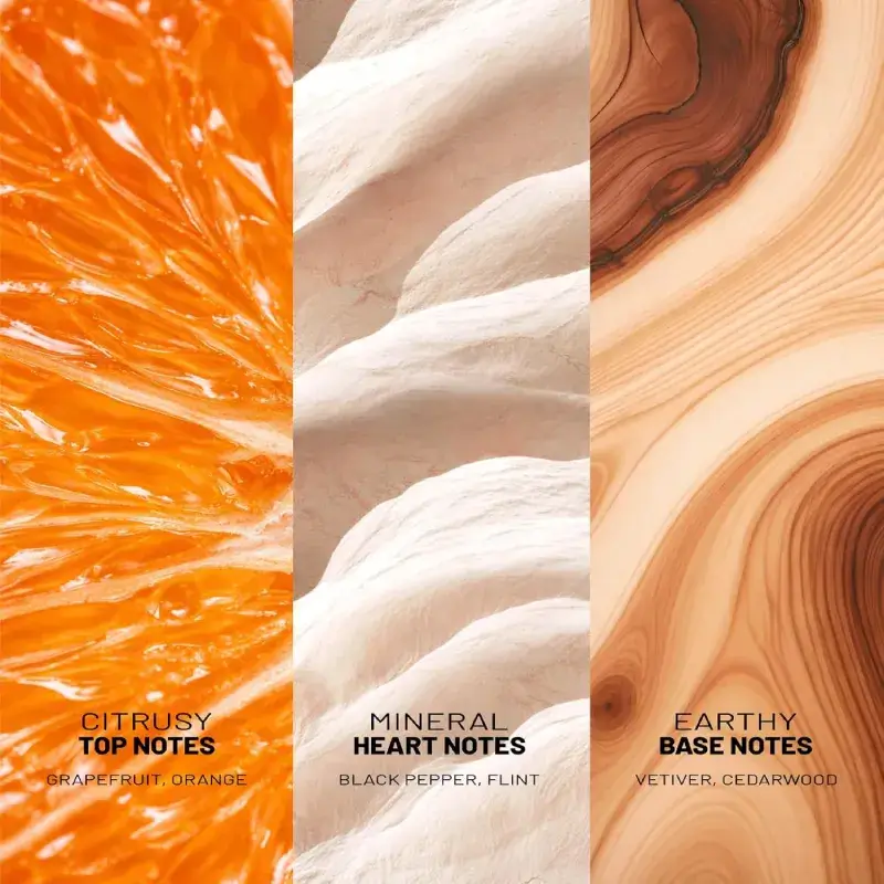 Wild Stone CODE Terra Eau De Parfum for Men 100ml Earthy Long Lasting Perfume wild stone code terra perfume