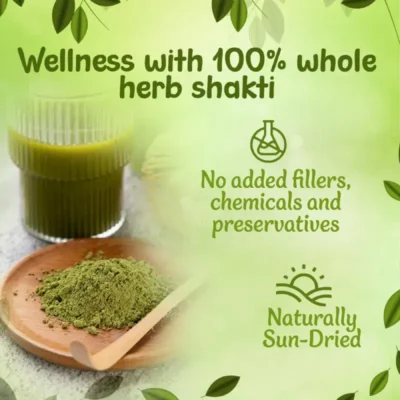 Product Title : NutroVally Organic Moringa Powder 100g Natural Superfood nutrovally organic moringa powder