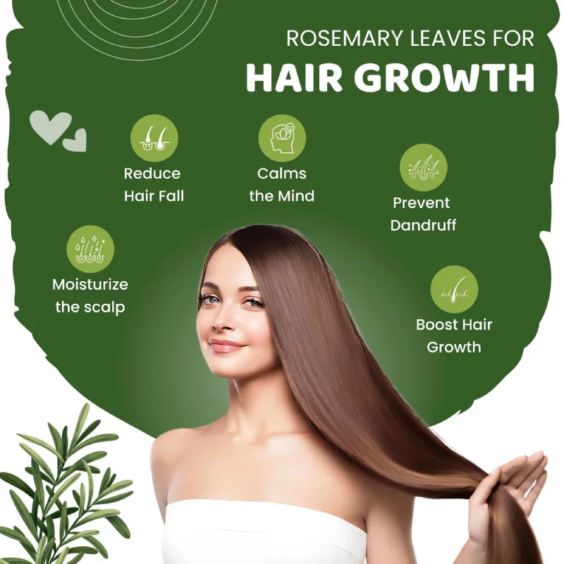 NutroVally Premium Rosemary Leaves 100g Organic Dried Rosemary with Spray & Comb Cape nutrovally premium rosemary leaves