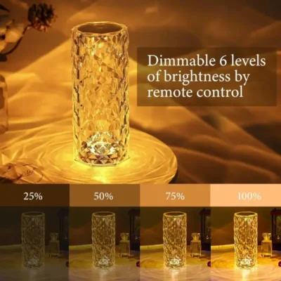 Shopsy Rose Crystal LED Table Lamp